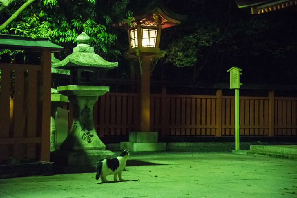 伏見稻荷大社-夜-3